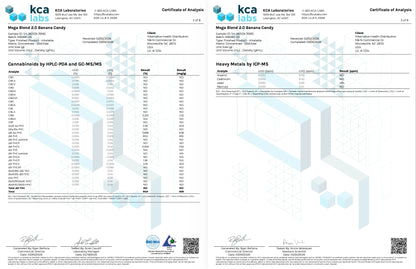 Buy Mega Blend 2.0 D8+D9+THCV+THCP Wholesale AH DIST
