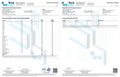 Buy Mega Blend 2.0 D8+D9+THCV+THCP Wholesale AH DIST
